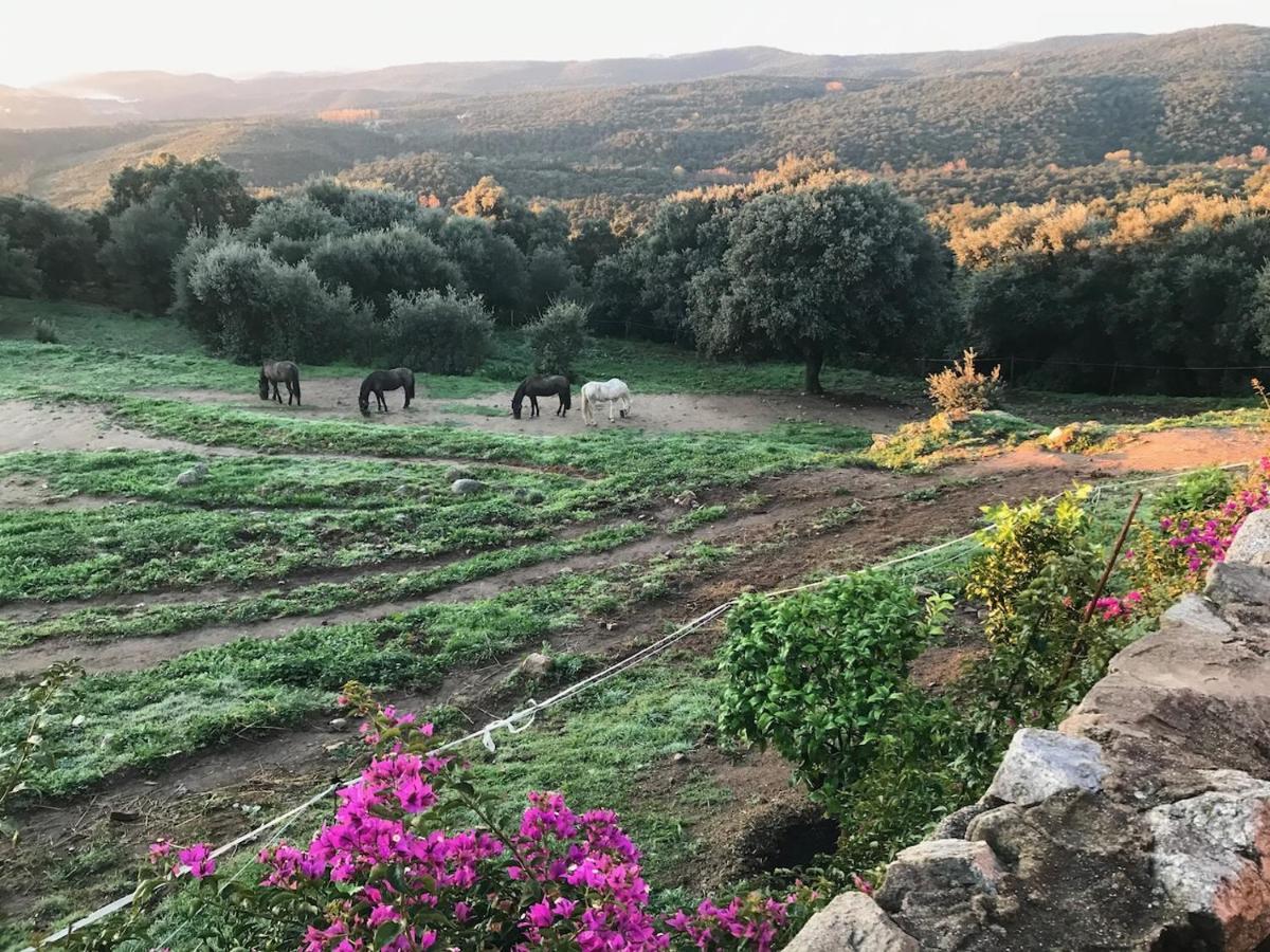 Can Maimes Agullana Bagian luar foto